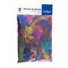 Plumes de pintade naturelles multicouleurs (x 10)