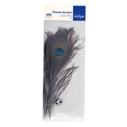 Plumes de paon naturelles (x 3)