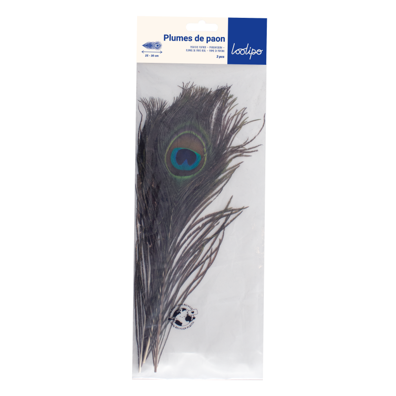Plumes de paon naturelles (x 3)