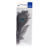 Plumes de paon naturelles (x 3)