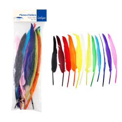 Plumes d'Indiens 27cm