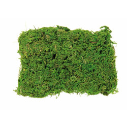 Sachet de mousse vert clair 50g