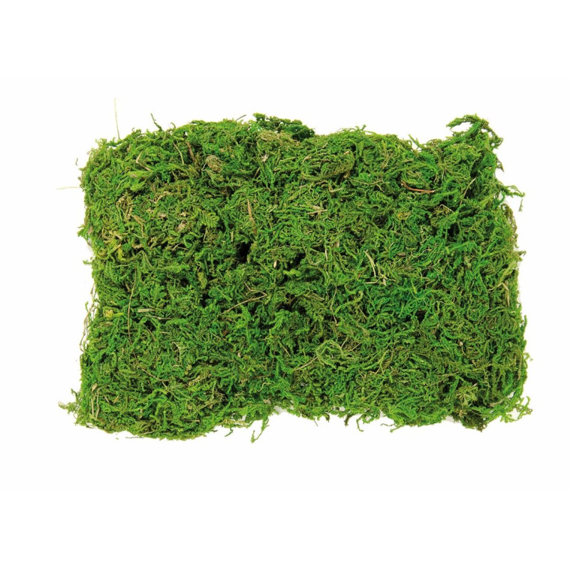 Sachet de mousse vert clair 50g