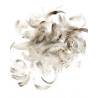 Plumes de coq 5-12cm 10g