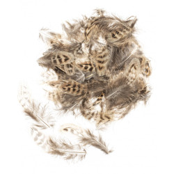 Plumes de poule 5-12cm 10g