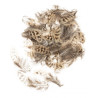 Plumes de poule 5-12cm 10g
