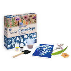 L'atelier Cyanotype Herbier