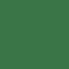 Paquet de 10 feuilles CARTA 50x65cm 270g vert foncé