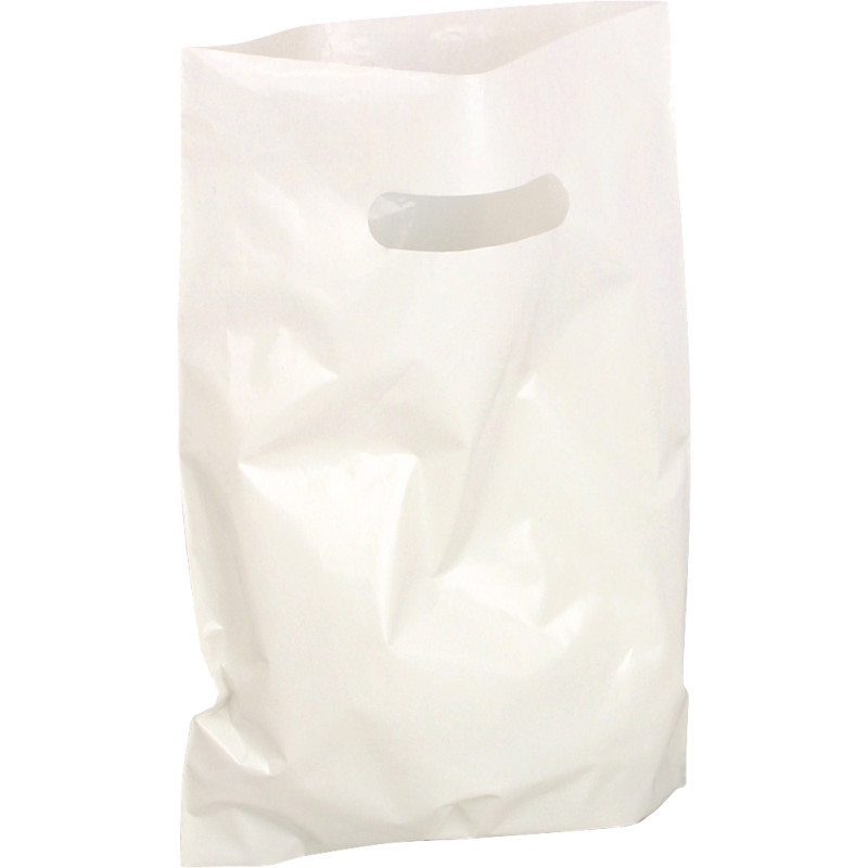 Paquet de 100 sacs plastique blanc 25x32x4cm