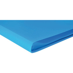Protège-documents PP OPAK 40 vues, bleu clair