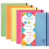 Cahier-trieur PROACTIV'BOOK LINICOLOR FRESH 160 pages perforées, forma