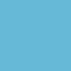 Boite de 12 sticks 40g PLAYCOLOR mural