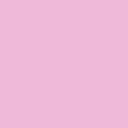 Boite de 12 sticks 40g PLAYCOLOR mural