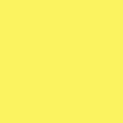 Boite de 12 sticks 40g PLAYCOLOR mural