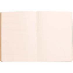 Carnet 160 pages RHODIARAMA format A5, dot (pointillés), couverture si