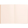 Carnet 160 pages RHODIARAMA format A5, dot (pointillés), couverture si