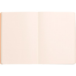Carnet 160 pages RHODIARAMA format A5, dot (pointillés), couverture si