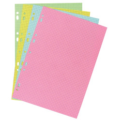 Etui 100 fiches bristol perforées carte forte 205 g coloris assortis q