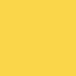 Lot de 10 Flacons 150 ml de gouache liquide ultra lavable Primacolor