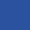 Lot de 10 Flacons 150 ml de gouache liquide ultra lavable Primacolor