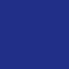Lot de 10 Flacons 150 ml de gouache liquide ultra lavable Primacolor