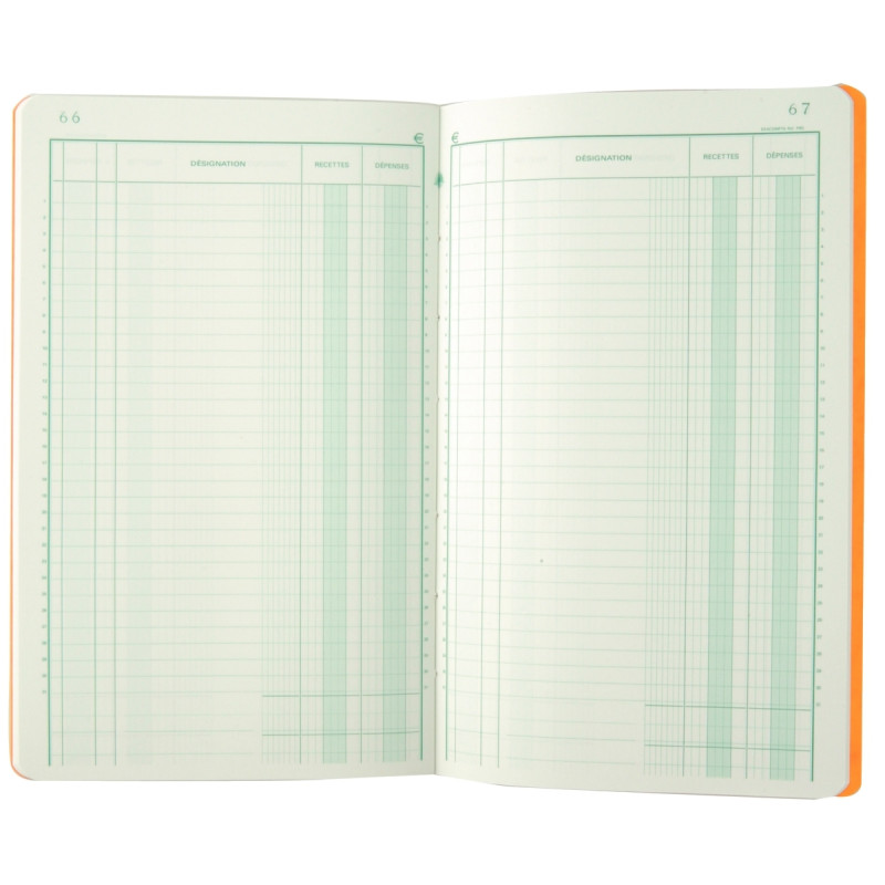Piqûre de 80 pages recettes/dépenses format 32 x 19,5 cm