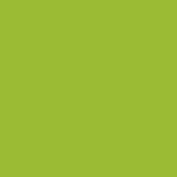 Perforateur Wow 2 trous 30 feuilles vert