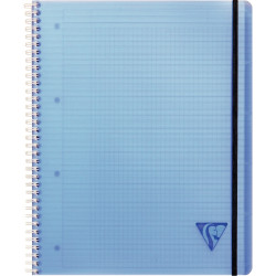 Cahier-trieur PROACTIV'BOOK LINICOLOR FRESH 160 pages perforées, forma