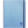 Cahier-trieur PROACTIV'BOOK LINICOLOR FRESH 160 pages perforées, forma