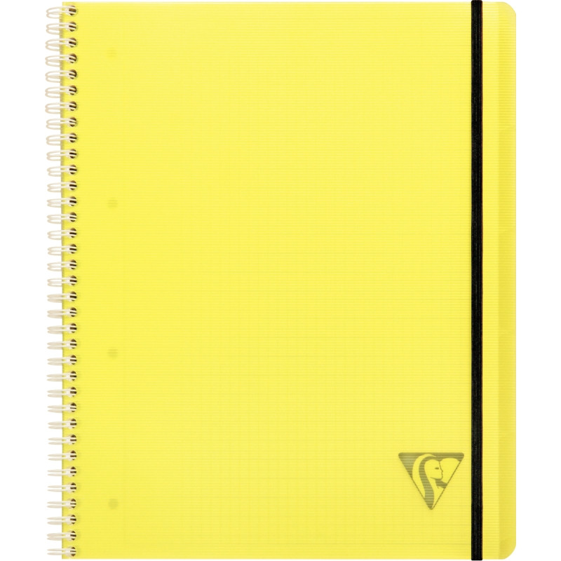 Cahier-trieur PROACTIV'BOOK LINICOLOR FRESH 160 pages perforées, forma