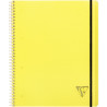 Cahier-trieur PROACTIV'BOOK LINICOLOR FRESH 160 pages perforées, forma