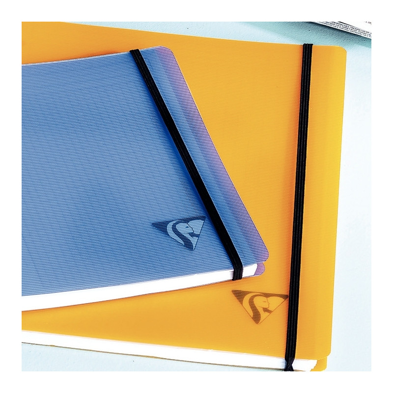 Cahier-trieur PROACTIV'BOOK LINICOLOR FRESH 160 pages perforées, forma