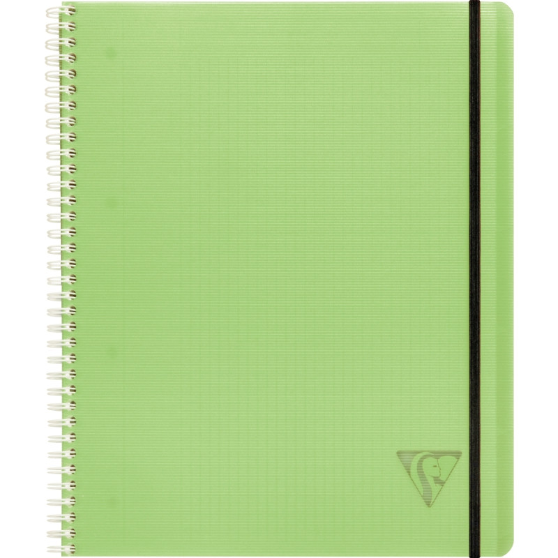 Cahier-trieur PROACTIV'BOOK LINICOLOR FRESH 160 pages perforées, forma