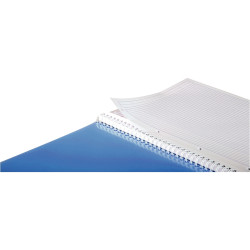 Cahier-trieur PROACTIV'BOOK LINICOLOR FRESH 160 pages perforées, forma