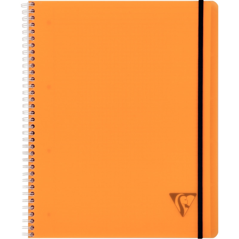 Cahier-trieur PROACTIV'BOOK LINICOLOR FRESH 160 pages perforées, forma