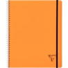 Cahier-trieur PROACTIV'BOOK LINICOLOR FRESH 160 pages perforées, forma