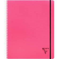 Cahier-trieur PROACTIV'BOOK LINICOLOR FRESH 160 pages perforées, forma