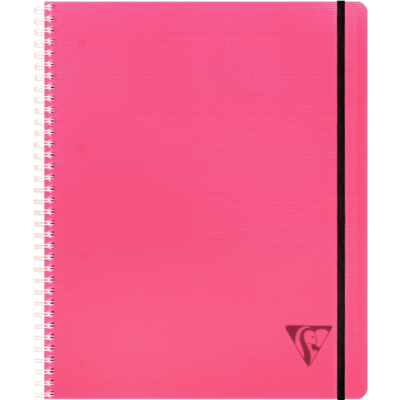 Cahier-trieur PROACTIV'BOOK LINICOLOR FRESH 160 pages perforées, forma