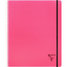 Cahier-trieur PROACTIV'BOOK LINICOLOR FRESH 160 pages perforées, forma