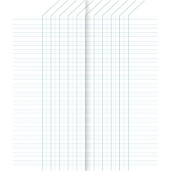 Carnet de notes 32 pages, format 8,5 x 20 cm