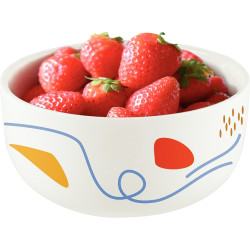 Lot de 6 bols en porcelaine
