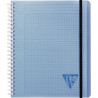 Cahier-trieur PROACTIV'BOOK LINICOLOR FRESH 180 pages, format A5+, qua