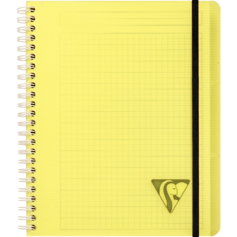 Cahier-trieur PROACTIV'BOOK LINICOLOR FRESH 180 pages, format A5+, qua