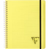 Cahier-trieur PROACTIV'BOOK LINICOLOR FRESH 180 pages, format A5+, qua