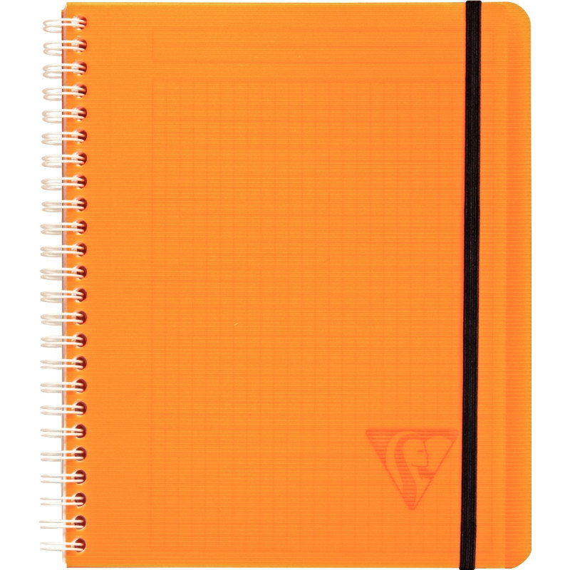 Cahier-trieur PROACTIV'BOOK LINICOLOR FRESH 180 pages, format A5+, qua