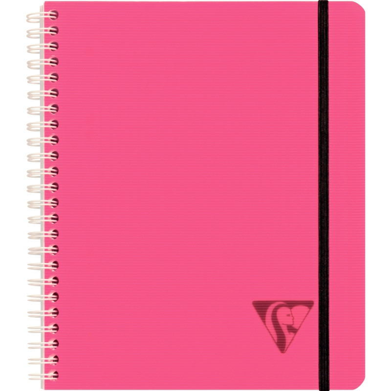 Cahier-trieur PROACTIV'BOOK LINICOLOR FRESH 180 pages, format A5+, qua