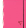 Cahier-trieur PROACTIV'BOOK LINICOLOR FRESH 180 pages, format A5+, qua