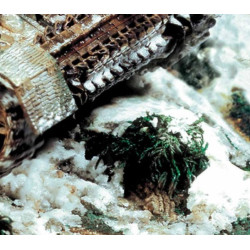 Peinture effets 40 ml : environnement neige