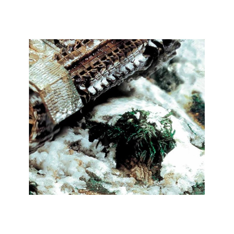 Peinture effets 40 ml : environnement neige