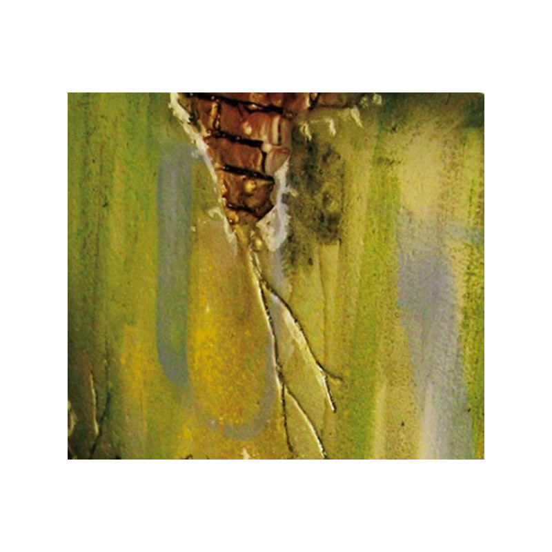 Peinture effets 40 ml : environnement salissure humide foncée